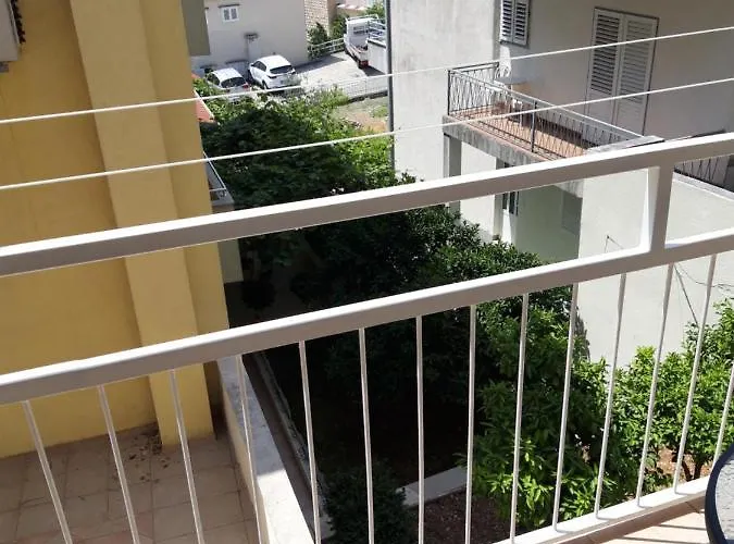 Smiljana Mucic Daire *