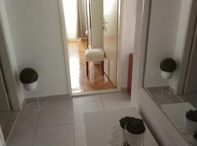 Smiljana Mucic Daire